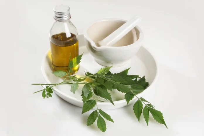 Beauty Benefits Of Neem For Bridal Glow - Wedding Affair