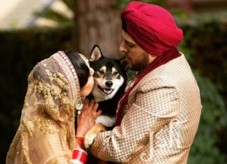Pawsitively Adorable: Indian Wedding Pets Fashion Takes Center Stage Indian Wedding Pets Fashion - Wedding Affair