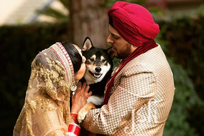 indian-wedding-pets-fashion-wedding-affair Indian Wedding Pets Fashion - Wedding Affair