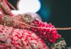 Stylish Jewellery Choices For The Bride