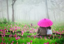 Top 3 North East Indian Honeymoon Destination Top 3 North East Indian Honeymoon Destination