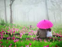 Top 3 North East Indian Honeymoon Destination Top 3 North East Indian Honeymoon Destination