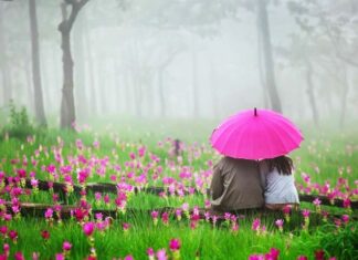 Top 3 North East Indian Honeymoon Destination Top 3 North East Indian Honeymoon Destination