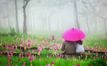 Top 3 North East Indian Honeymoon Destination Top 3 North East Indian Honeymoon Destination