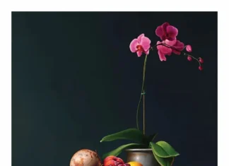Creative Catering With Shiv Fruit Mart