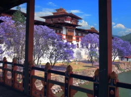 Love in the Land Of Dragons – Bhutan bhutan