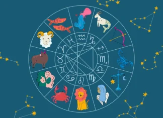 Dating the Zodiac Signs: What It Is Like zodiac signs