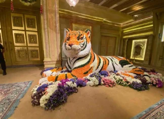 Paw-sitively Perfect: Animal-Inspired Wedding Decor Ideas wedding decor