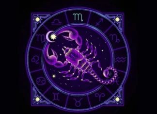 Decoding the Love Language of a Scorpio This Scorpio Season! scorpio season