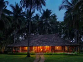 Promise Your Dreamy Forever at Big Banyan Vineyard & Resort! Big Banyan Vineyard & Resort