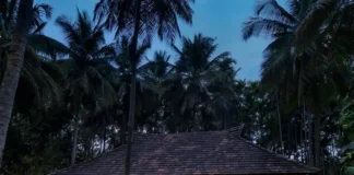 Promise Your Dreamy Forever at Big Banyan Vineyard & Resort! Big Banyan Vineyard & Resort