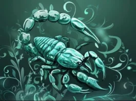 Inside the Heart of a Scorpio Male! scorpio male