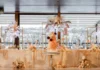 6 Wedding Cake Bakers in India You Must Know! wedding cake bakers