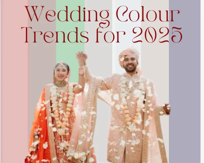 feature (84) colour trends