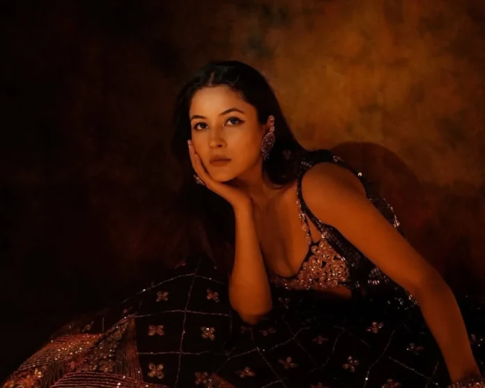ft (34)_11zon shehnaaz gill
