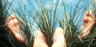 From Pools to Backyard, Outdoor Sex Is Still Hot This Summer Outdoor sex