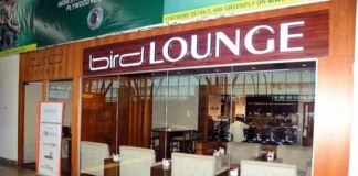 Bird Lounges: Relaxation Haven Amidst Air Travel! Bird Lounges