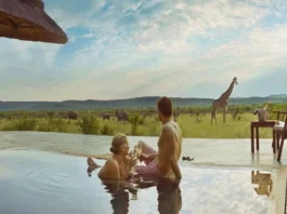 7 Best Safari Honeymoon Destinations In the World safari honeymoon destination