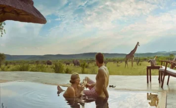 7 Best Safari Honeymoon Destinations In the World safari honeymoon destination